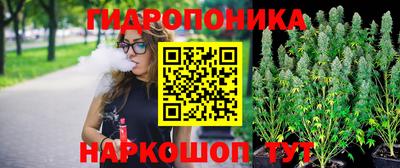 ешки Шелехов