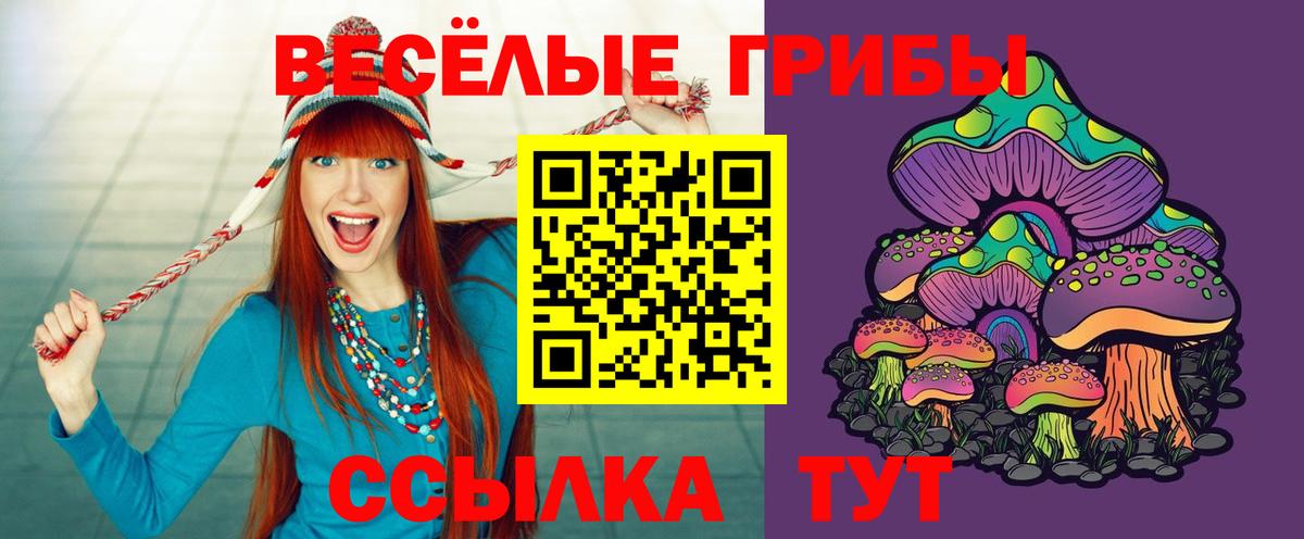Клинцы  Псилоцибиновые грибы Magic Shrooms  Вход с VPN 